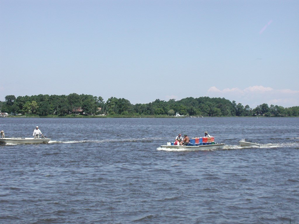 Picture 5