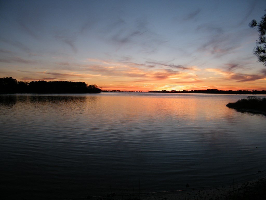 Picture 2