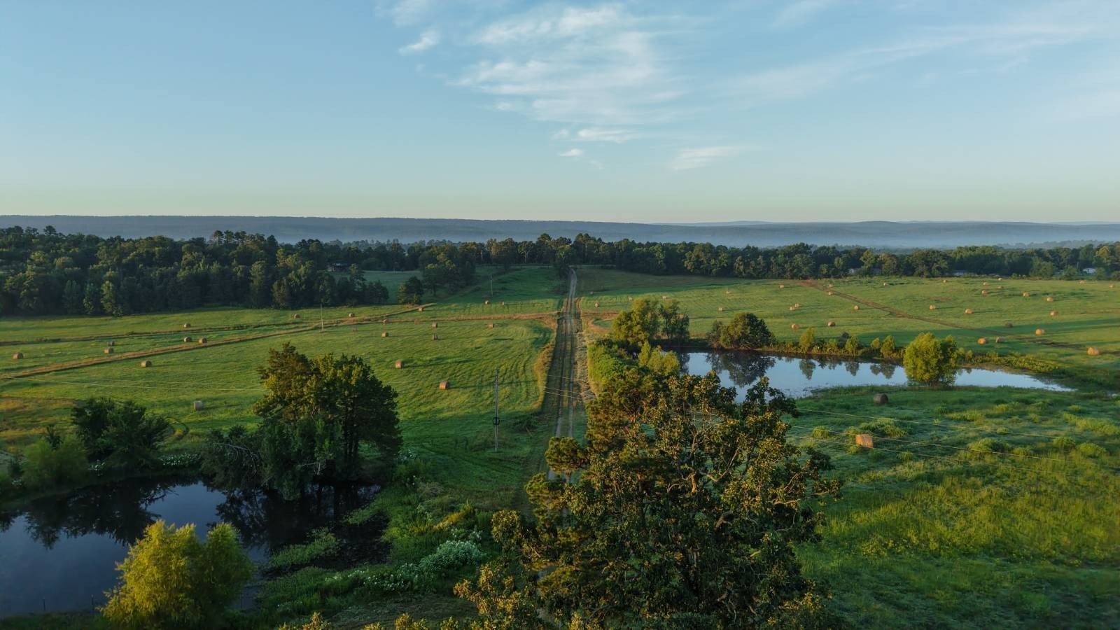 Productive Land with Hunting Potential