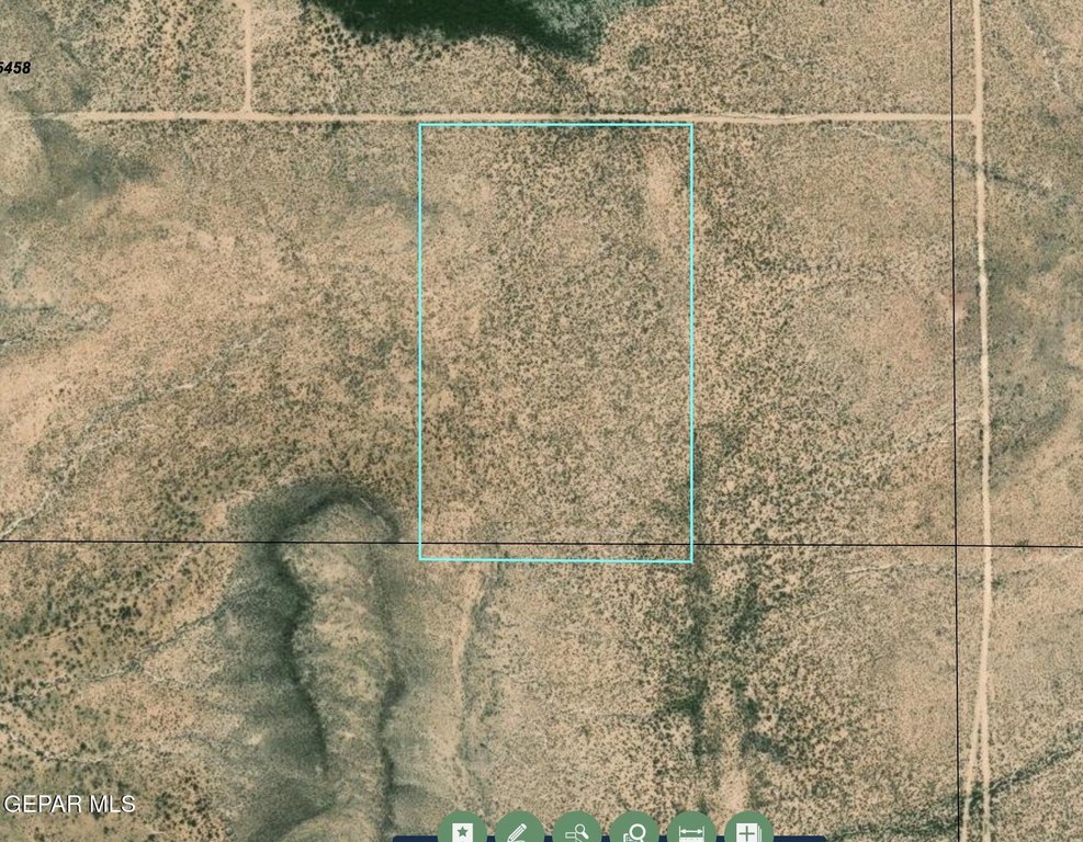 Picture 3