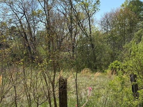 Corbin, KY Building Lot