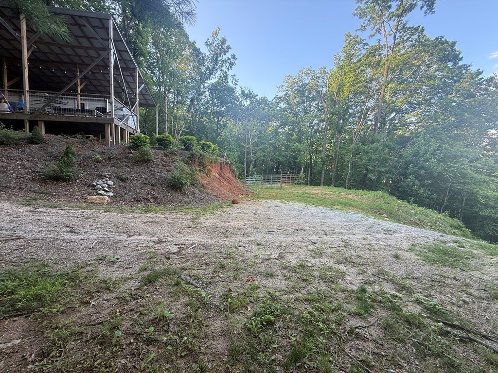 Picture 3