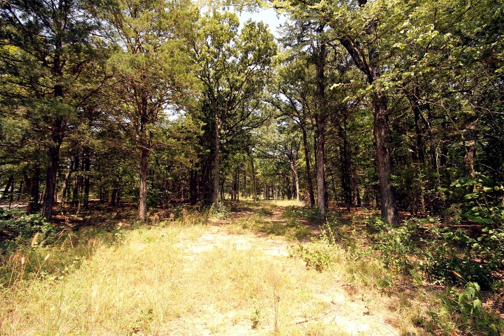 Picture 3