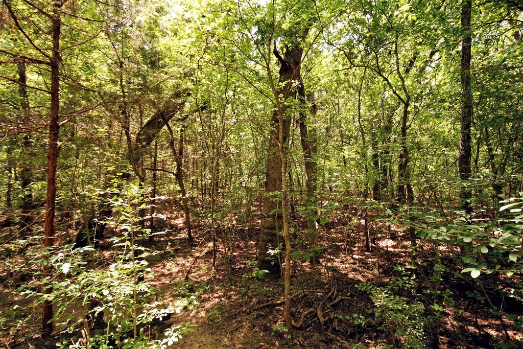 Picture 5