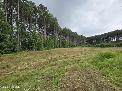 LAND - Bailey, NC