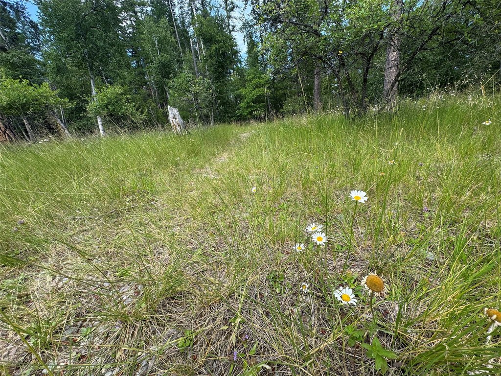 Picture 16