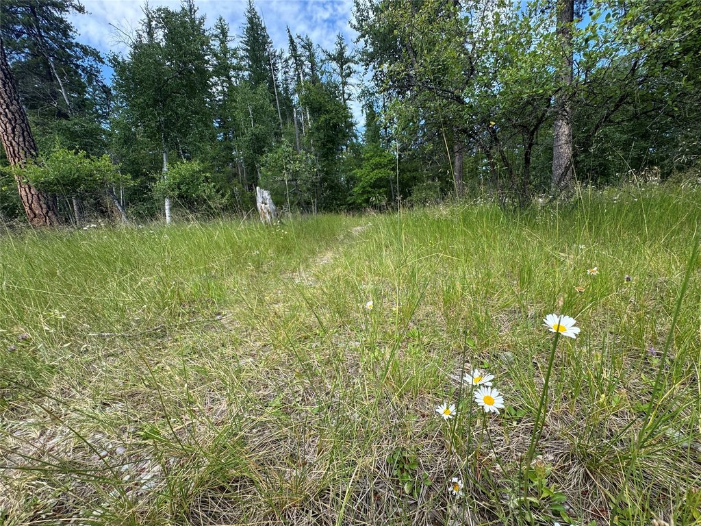 Picture 17