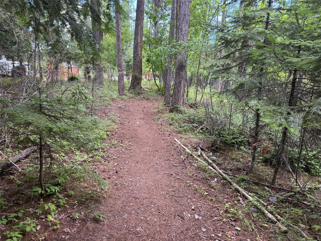 Picture 20