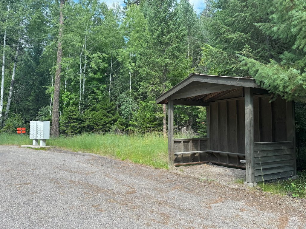 Picture 15