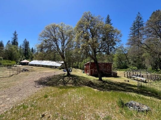 Hayfork Land with Creeks