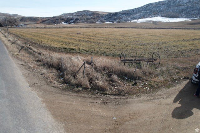 Picture 6