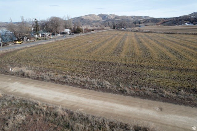 Picture 5