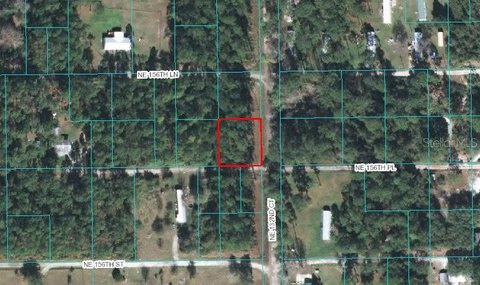 Corner Home Site in Forest Area