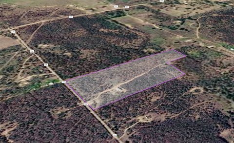 LAND - Ranger, TX