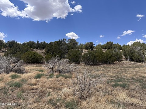Concho, AZ Acreage Available