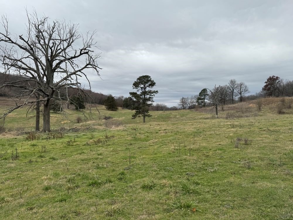 10 Acres in Lincoln, AR