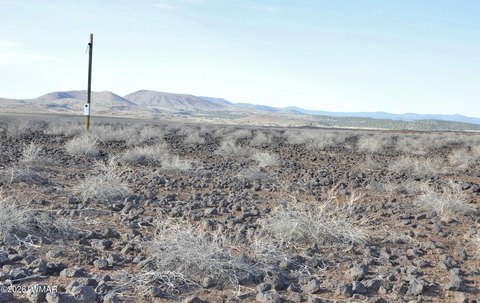 LAND - Concho, AZ