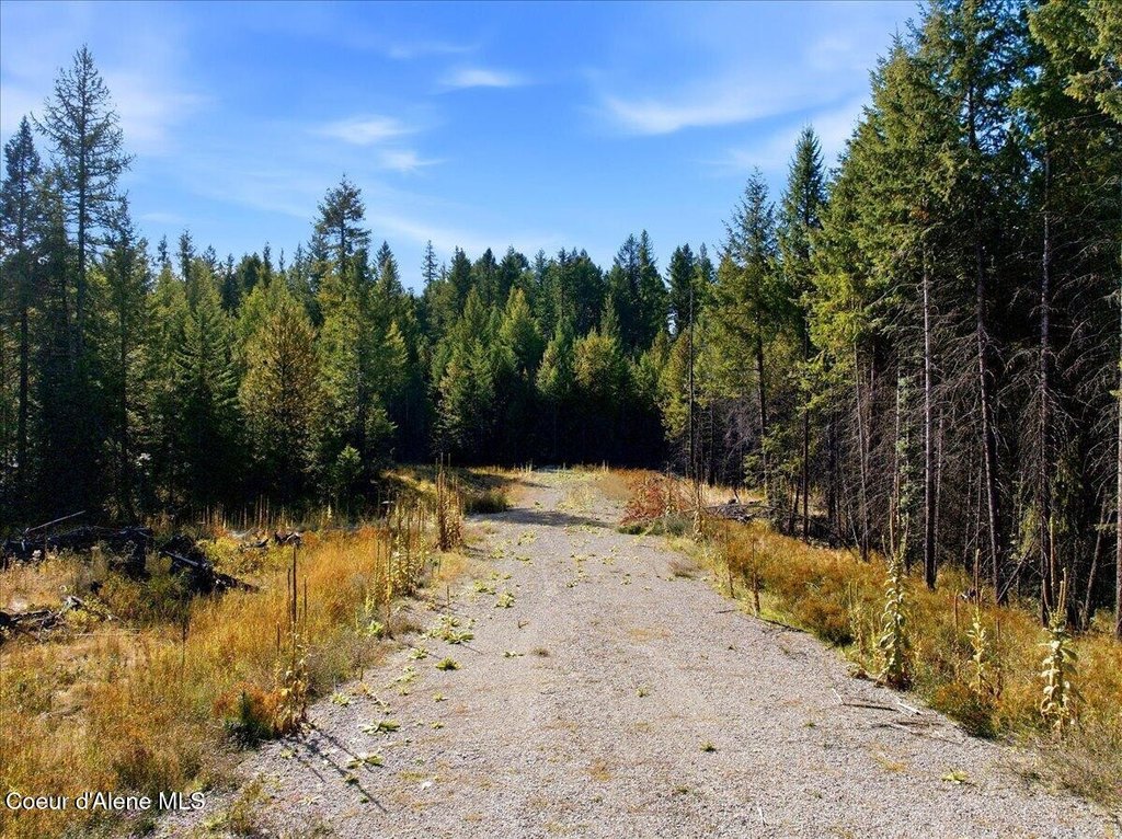 Picture 10