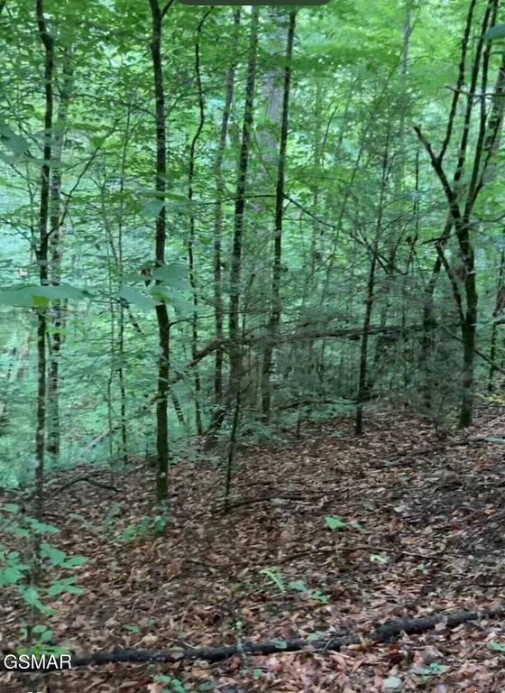 Picture 10