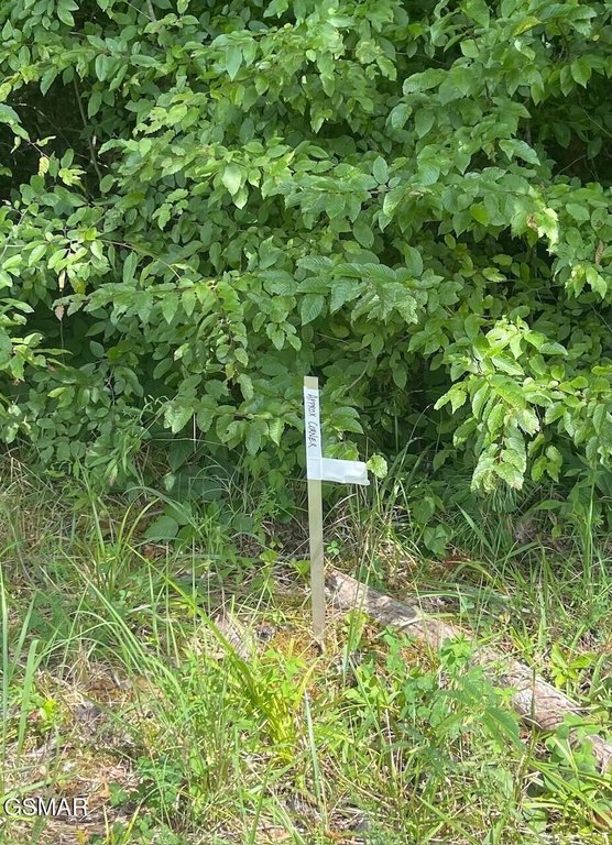 Picture 12