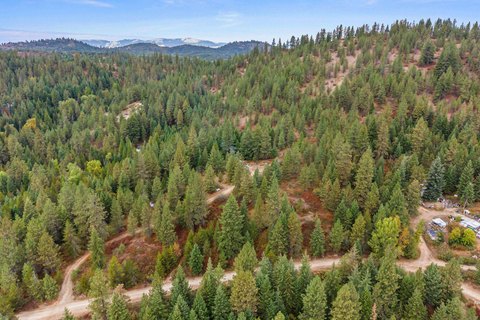 Newport, WA Treed 5-Acre Land