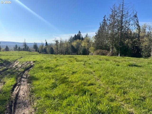 Picture 13
