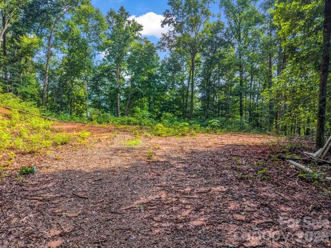 LAND - Swannanoa, NC