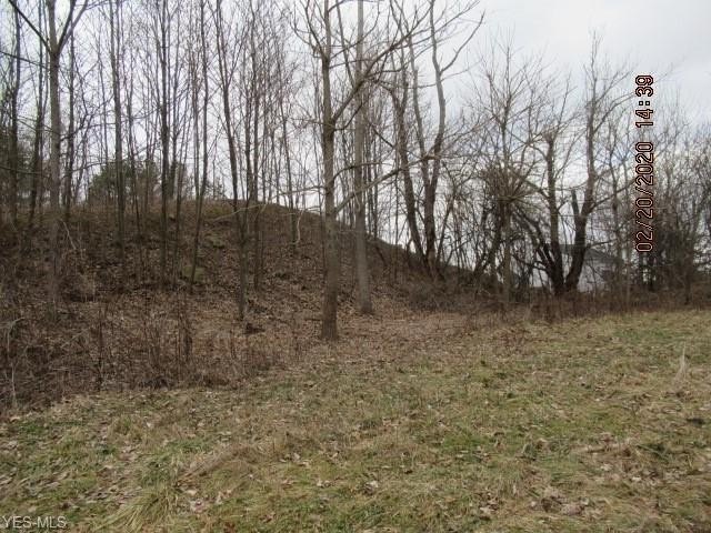 Picture 4