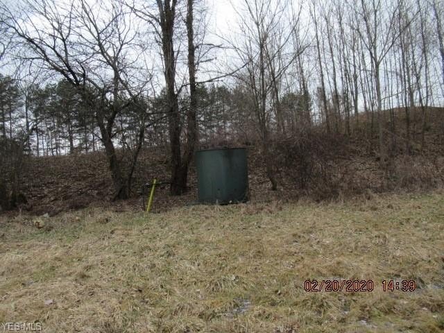 Picture 2