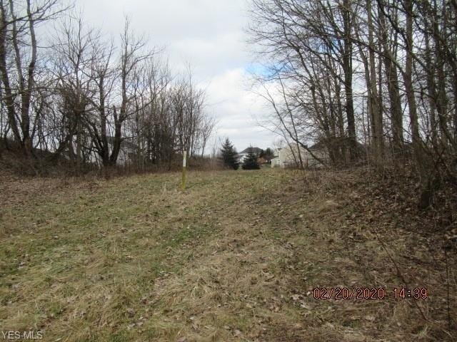 Picture 3