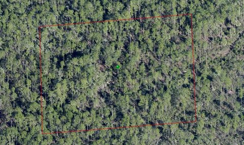 Undeveloped Land in Central Florida
