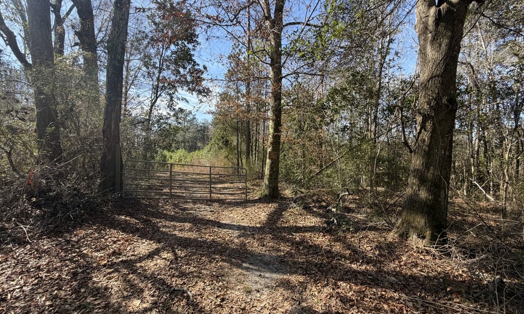 Picture 14