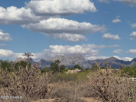 LAND - Las Cruces, NM