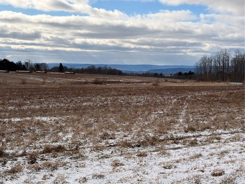 7-Acre Flat Lot in Horseheads