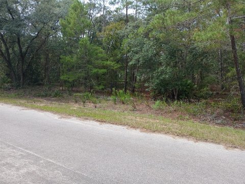 Land, OCKLAWAHA, FL