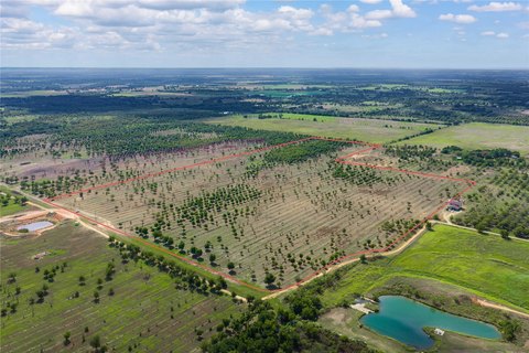 Pecan Orchard Farm