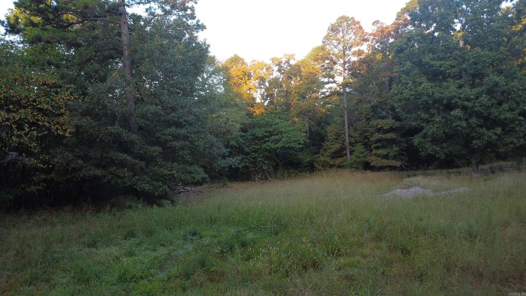 Picture 30