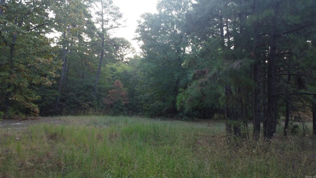 Picture 36