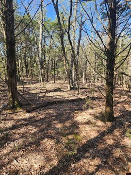 Land with View Potential