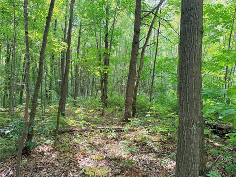 Land, Glen Flora, WI