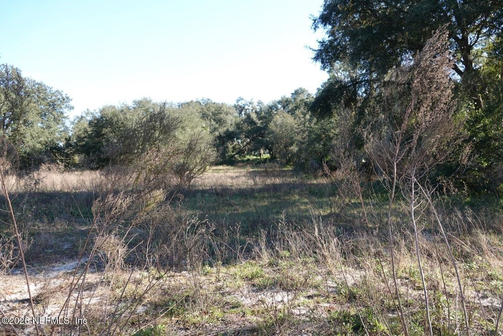 Picture 10