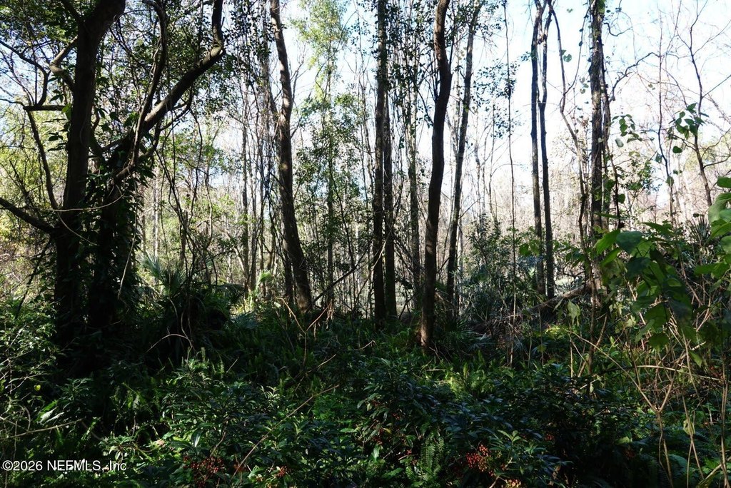 Picture 25