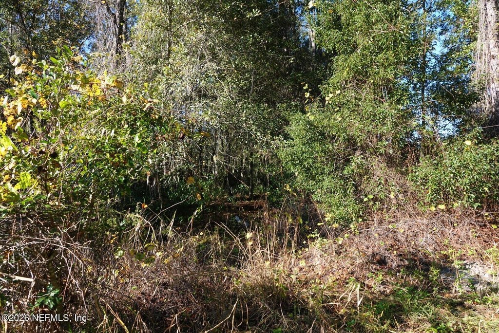 Picture 7