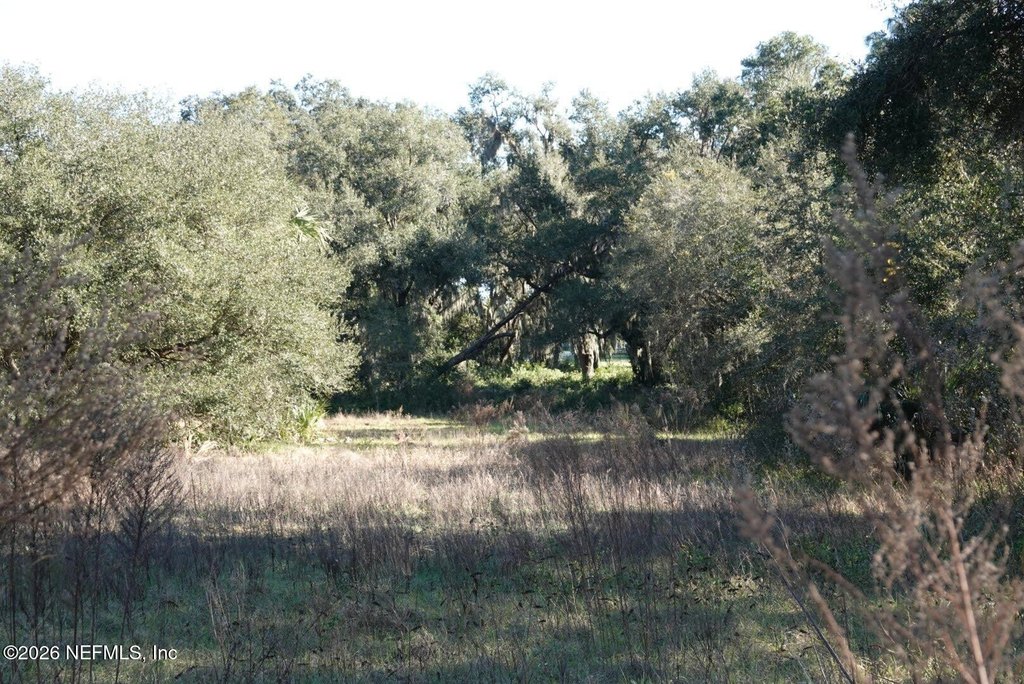 Picture 12