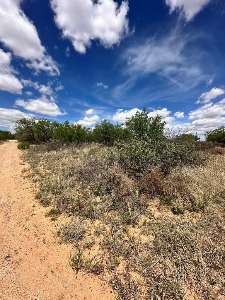 Residential Land in Colorado City
