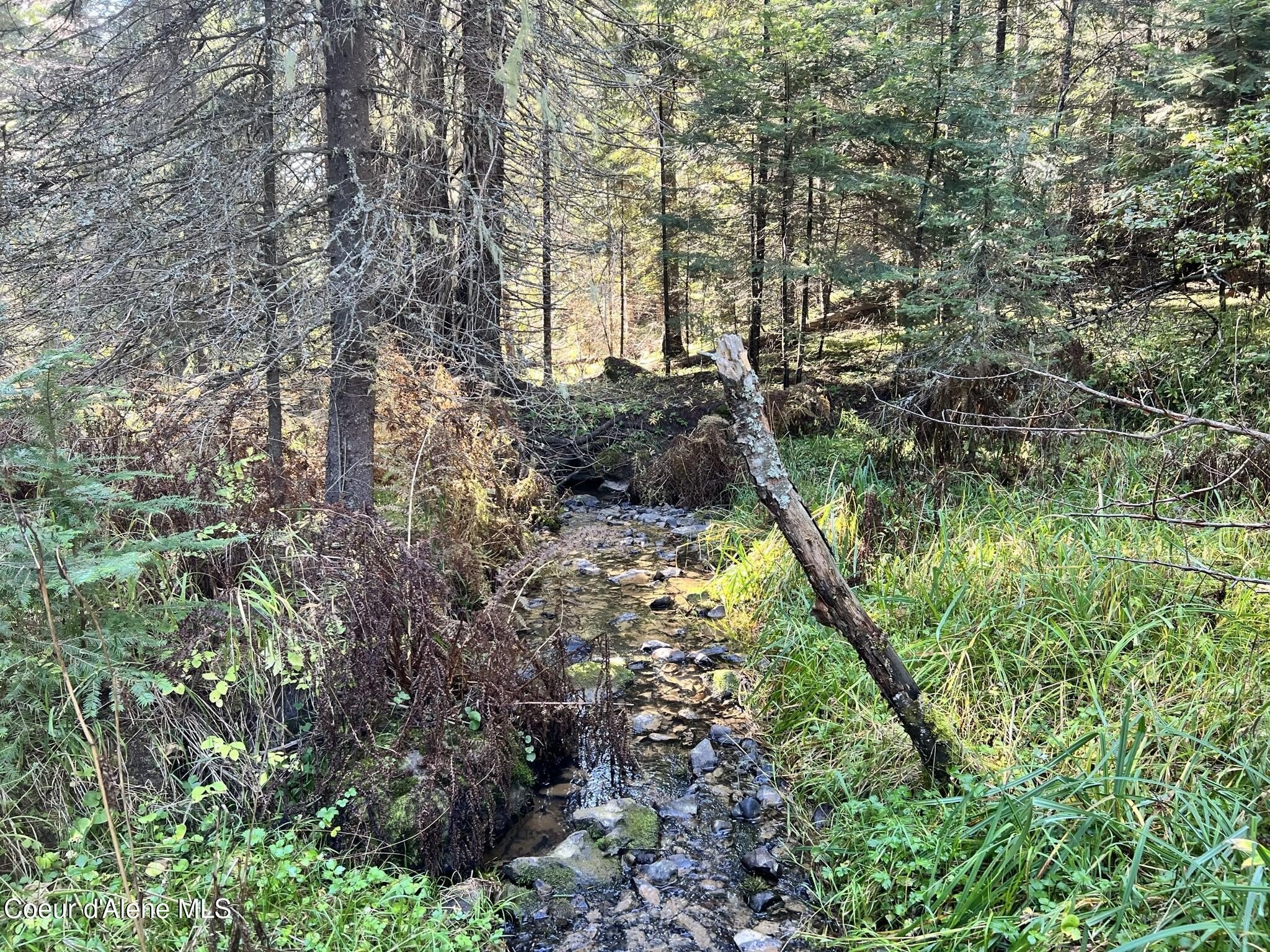 St. Maries Land with Creek
