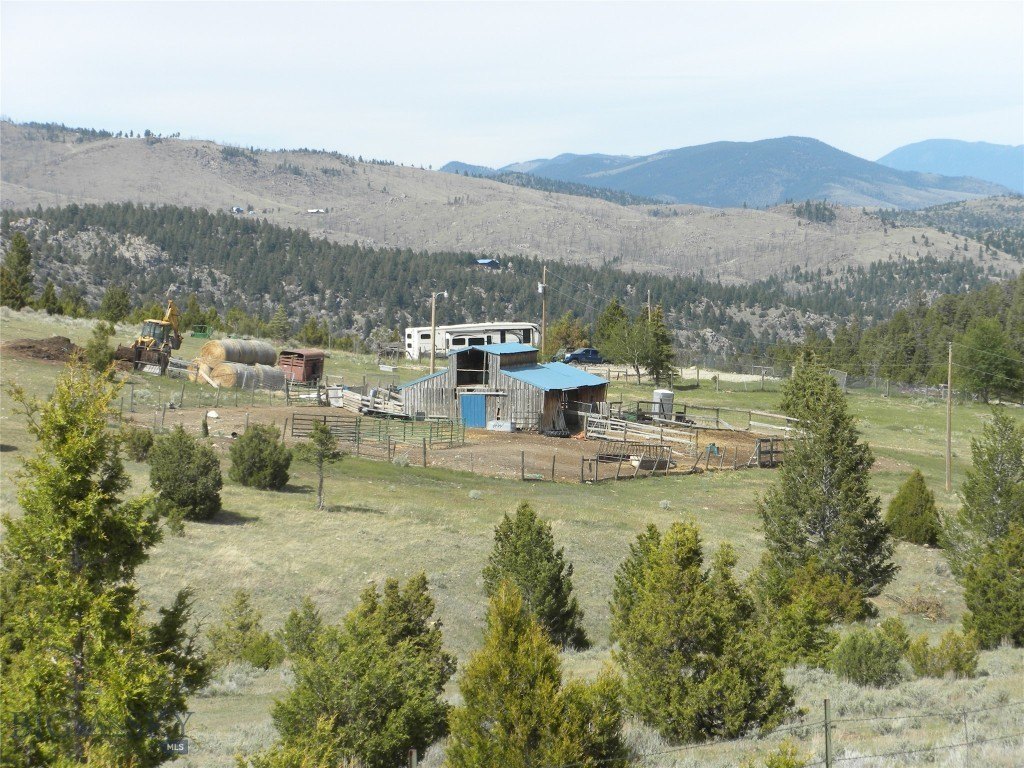 Picture 3