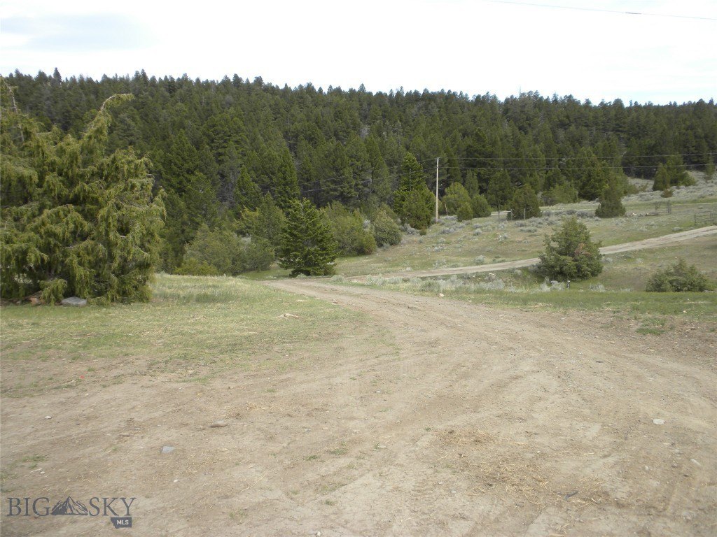 Picture 11