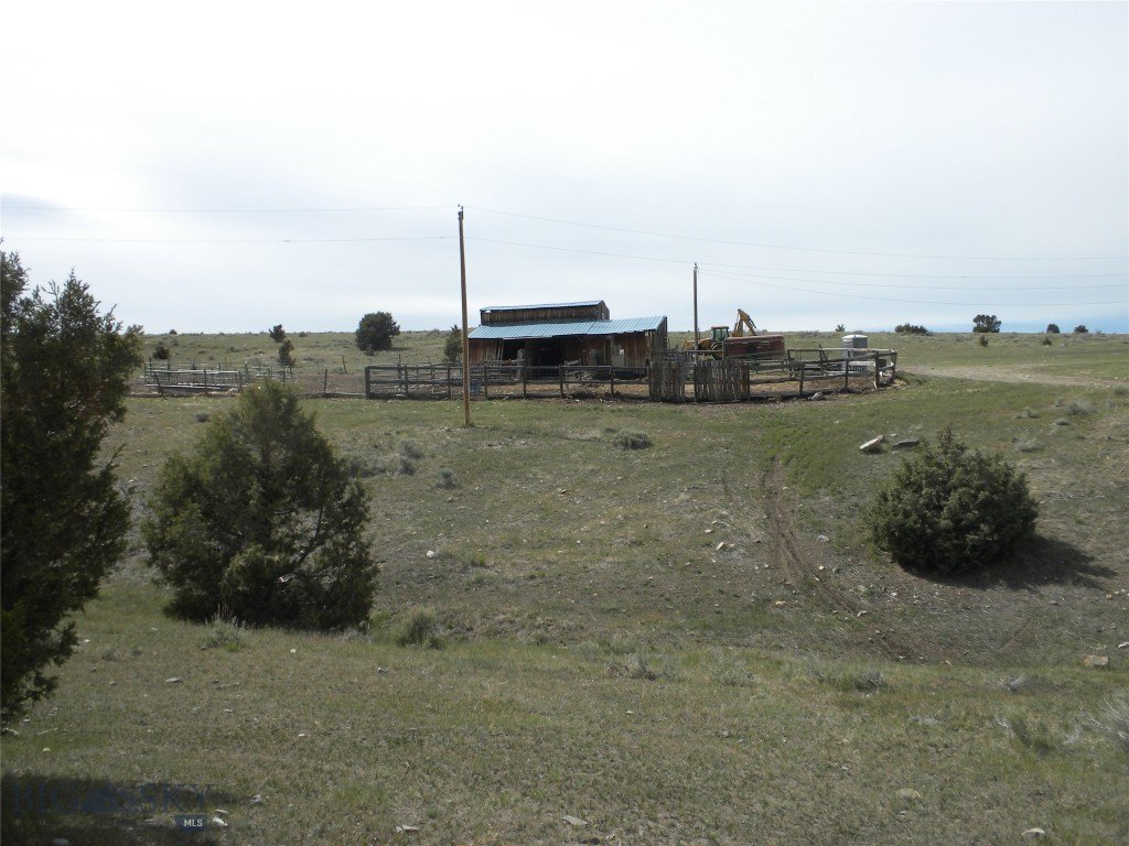 Picture 5