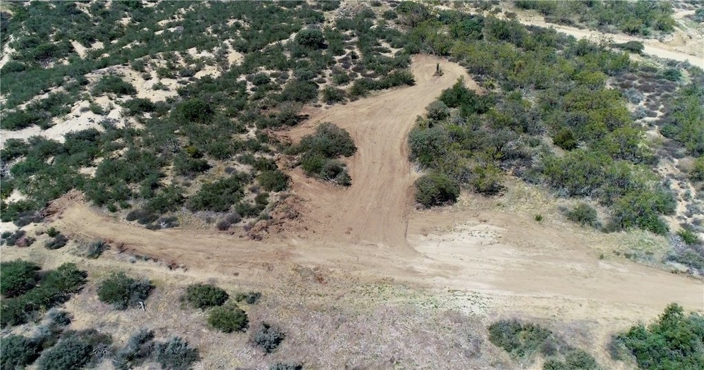 Picture 7